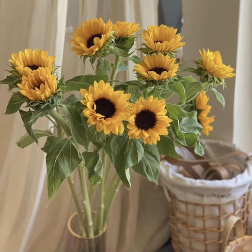 【只有99份】星光百合10朵+紫霞仙子玫瑰10支+随机色小雏菊10支+小花向日葵5支/份（顺丰） 商品图1