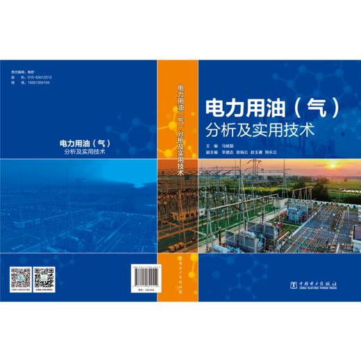 电力用油（气）分析及实用技术 商品图2