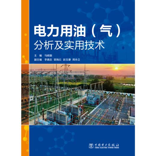 电力用油（气）分析及实用技术 商品图1