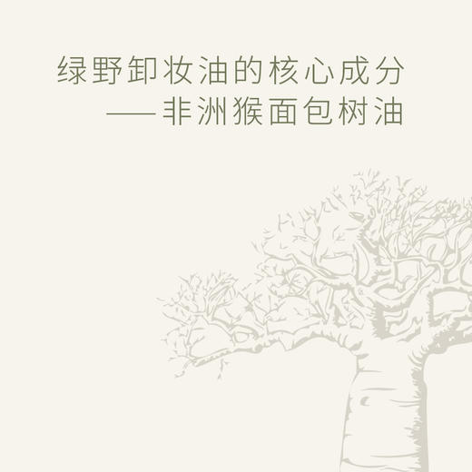 绿野芳踪猴面包树植物卸妆油150ml 商品图2