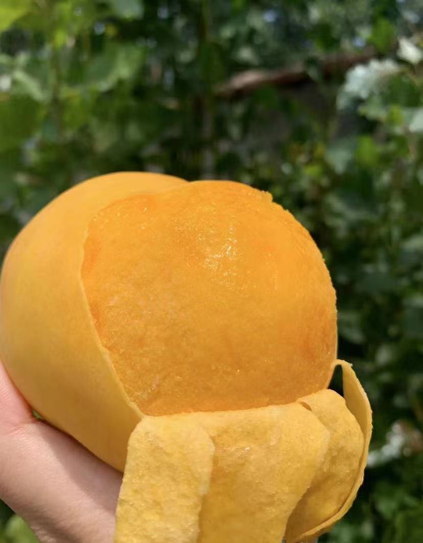 云南高山黄金大蜜桃色泽诱人一口飚汁香甜多汁桃味浓郁2盒重量约3斤