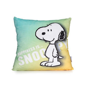 SP-JFK901-幻想系列 渐变抱枕