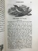 1821年 比维克《英国鸟类史》（全2卷） 近200幅版画插图 真皮精装大32开 商品缩略图12