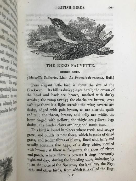 1821年 比维克《英国鸟类史》（全2卷） 近200幅版画插图 真皮精装大32开 商品图12