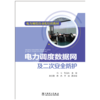 电力调度自动化培训教材 电力调度数据网及二次安全防护 商品缩略图1