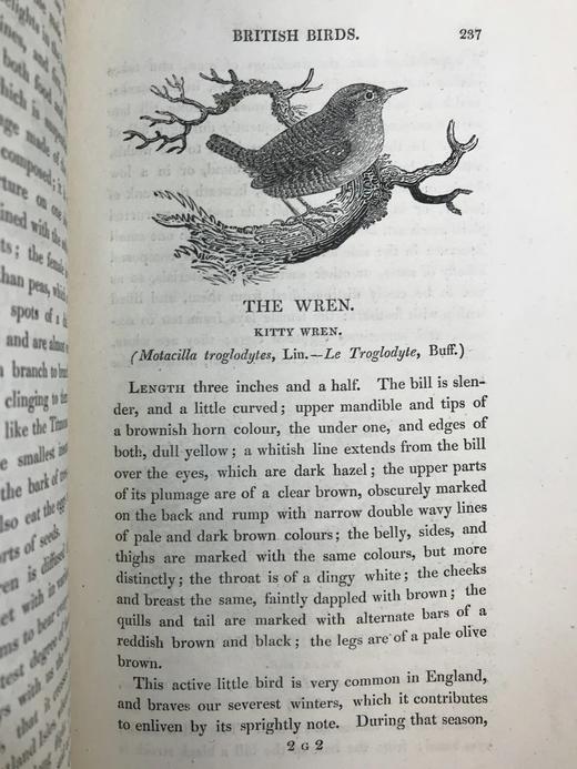 1821年 比维克《英国鸟类史》（全2卷） 近200幅版画插图 真皮精装大32开 商品图10