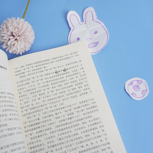 统编小学语文可以这样教 大夏书系语文之道 教师教育 统编教材分析 低年级识字写字中高年级阅读习作教学 商品图3