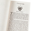 【中商原版】Wheel of Time Premium Boxed Set II Books 4-6 英文原版 时光之轮4-6盒装 Robert Jordan 商品缩略图3