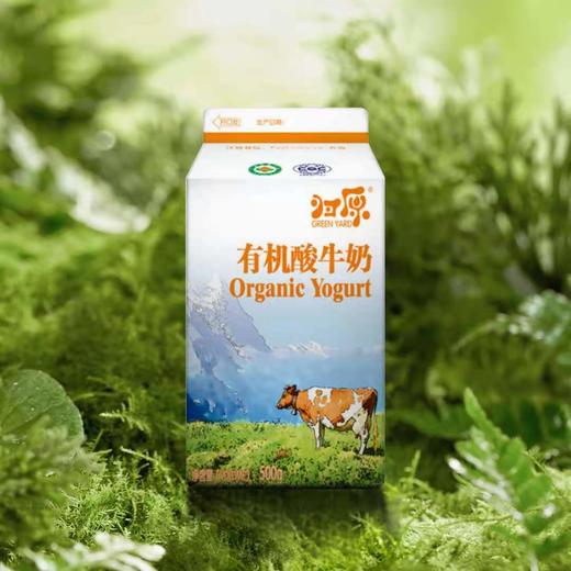 【产地直发包邮】归原有机酸牛奶（大有）500g*8盒/箱 商品图1