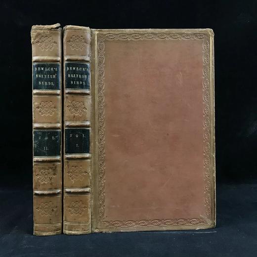 1821年 比维克《英国鸟类史》（全2卷） 近200幅版画插图 真皮精装大32开 商品图0