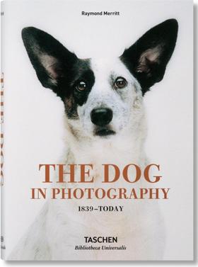 现货 照片中的狗 英文原版 The Dog in Photography 1839–Today 塔森艺术书