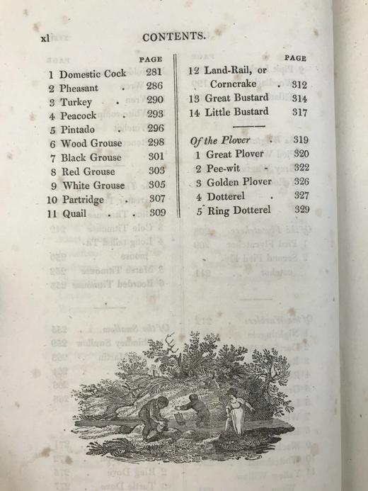 1821年 比维克《英国鸟类史》（全2卷） 近200幅版画插图 真皮精装大32开 商品图8