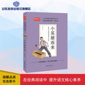 小英雄雨来 快乐读书吧六年级上册