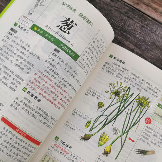 【9.9元包邮】彩色图解版 本草纲目正版 李时珍原著全套本草纲目彩图版白话文养生书籍中医正版中草药彩图大全 商品图2