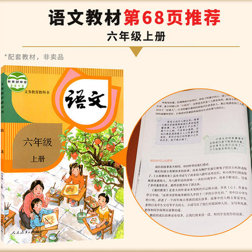 爱的教育 快乐读书吧六年级上册 商品图1
