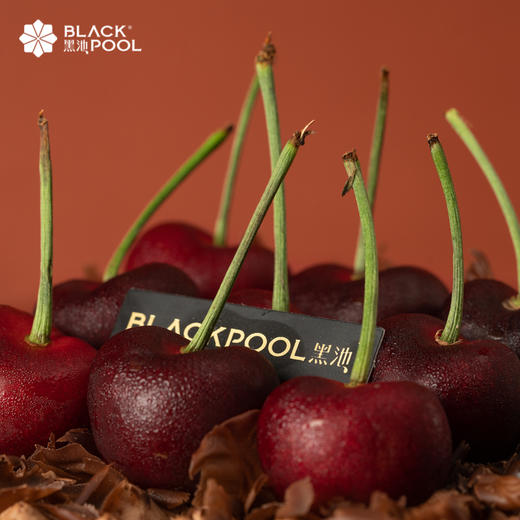 【黑森林·樱桃戚风软忌廉】精选大连大樱桃融入法国铁塔淡奶油 商品图3