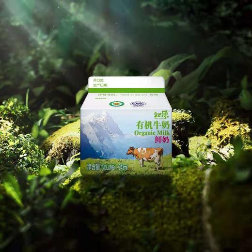 【产地直发包邮】归原有机鲜牛奶（小巴）243ml*8盒/箱 商品图1