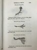 1821年 比维克《英国鸟类史》（全2卷） 近200幅版画插图 真皮精装大32开 商品缩略图6
