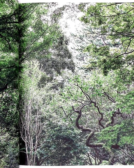 【中商原版】生命之庭 8位现代作家所看到的小宇宙 日文原版 生命の庭 8人の現代作家が見つけた小宇宙 商品图6