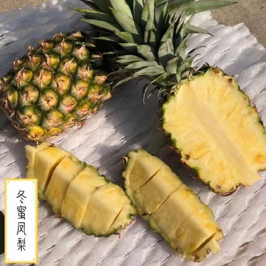 海南冬蜜凤梨   （购买前看详情）4.5-5斤 商品图8