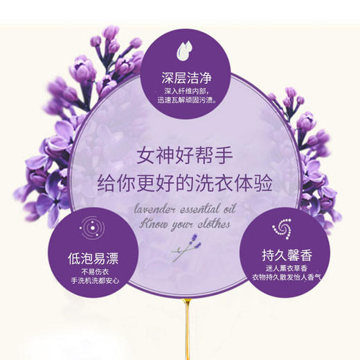 激浪蕙衣草精油洗衣粉2.5kg*2包（不发货）（门店自提） 商品图3