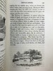 1821年 比维克《英国鸟类史》（全2卷） 近200幅版画插图 真皮精装大32开 商品缩略图14