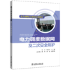 电力调度自动化培训教材 电力调度数据网及二次安全防护 商品缩略图0