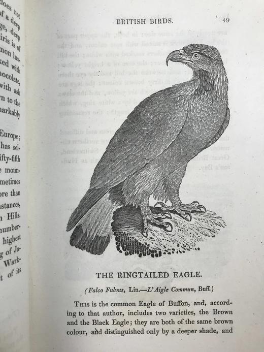 1821年 比维克《英国鸟类史》（全2卷） 近200幅版画插图 真皮精装大32开 商品图5