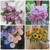 【只有99份】星光百合10朵+紫霞仙子玫瑰10支+随机色小雏菊10支+小花向日葵5支/份（顺丰） 商品缩略图0