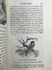 1821年 比维克《英国鸟类史》（全2卷） 近200幅版画插图 真皮精装大32开 商品缩略图9