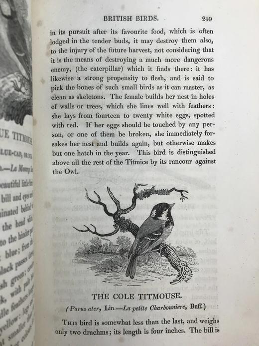 1821年 比维克《英国鸟类史》（全2卷） 近200幅版画插图 真皮精装大32开 商品图9