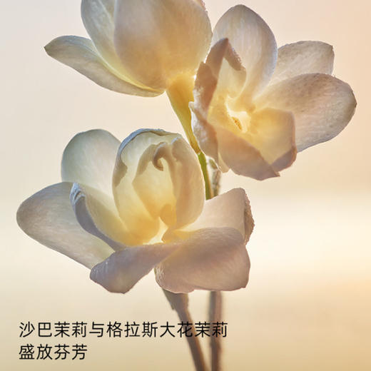 【直邮】Dior迪奥 真我香氛 淡香 50ml/100ml 商品图2