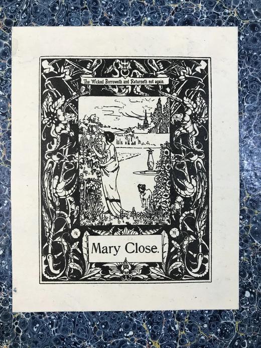 1821年 比维克《英国鸟类史》（全2卷） 近200幅版画插图 真皮精装大32开 商品图2