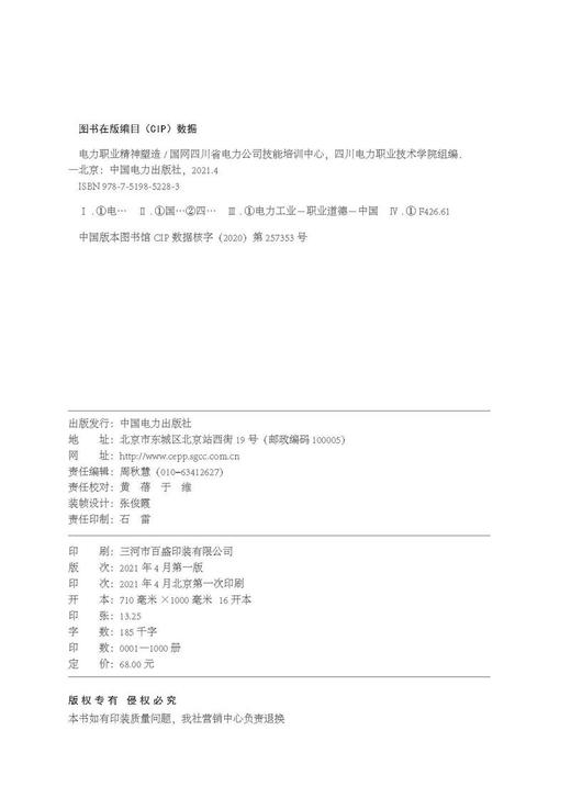 电力职业精神塑造 商品图3