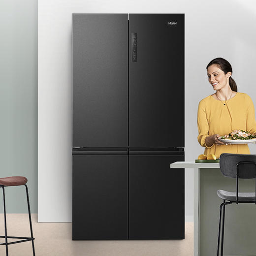 海尔haier冰箱bcd545wfpb