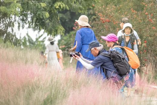 09月27日佛山·浪漫粉黛乱子草·渔人码头摄影一天<臻享1元> 商品图5