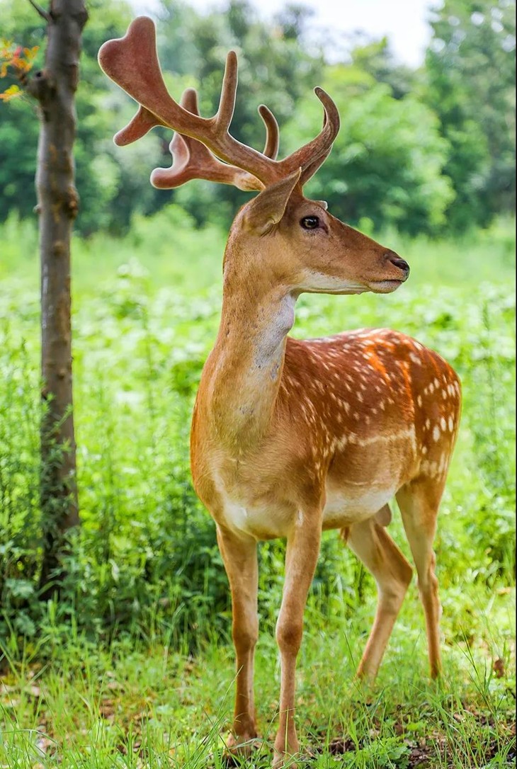 暑期亲子度假 |岳阳洋沙湖渔窑客栈 欢乐水世界酒景套餐特惠预售,450