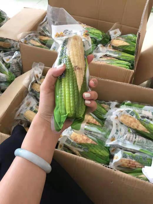 【早餐系列】西双版纳甜糯小玉米礼盒装/散装，又香又糯，白色花色随机发货！ 商品图3