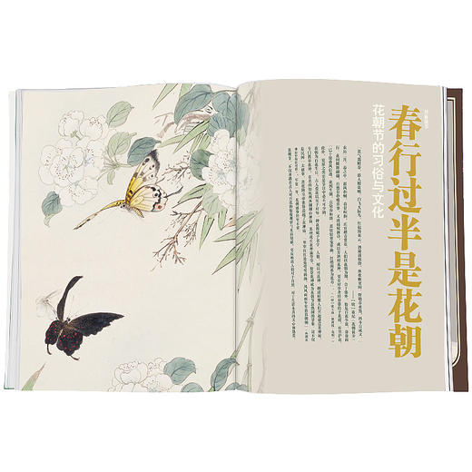 紫禁城杂志订阅 2021年5月号 春行过半是花朝 花朝节的习俗与文化 商品图3