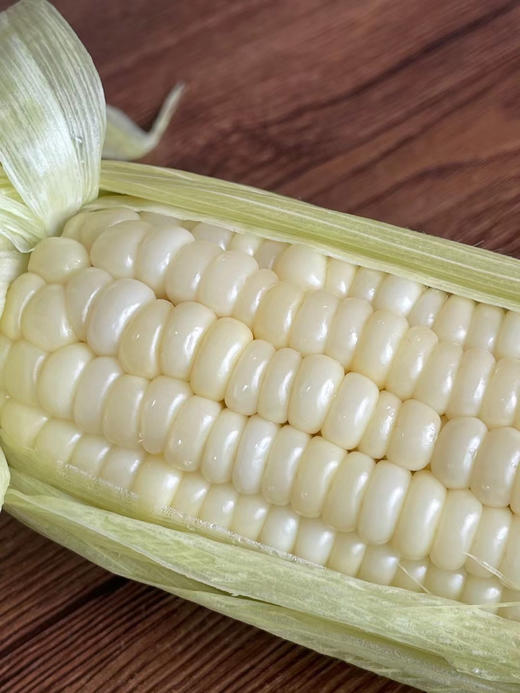 掌柜推荐牛奶糯玉米绿色食品不缺钱的诸暨老伯情怀爱劳动之作天然种植