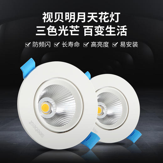 明月系列天花灯（停产） 商品图0