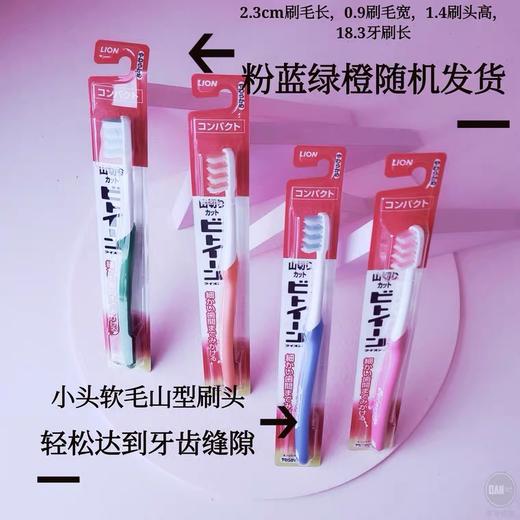 日本狮王山切牙刷 中头软毛 商品图4