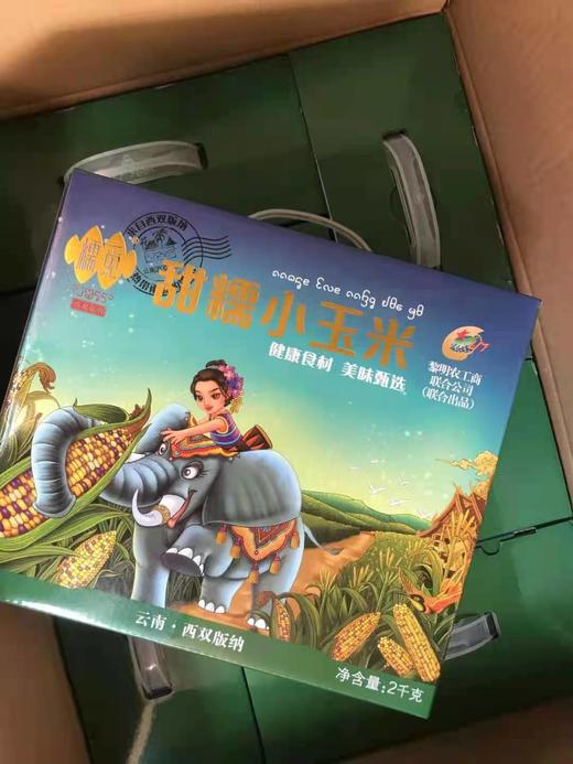 【早餐系列】西双版纳甜糯小玉米礼盒装/散装，又香又糯，白色花色随机发货！ 商品图5