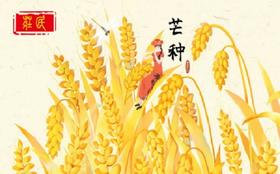 芒种时节｜应季养生*跟我一起来养生！