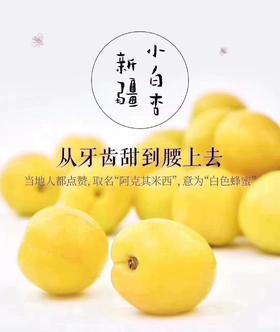 只卖15天！新疆“隐藏款”美食，比哈密瓜还甜10度！口口香软如蜜~ 