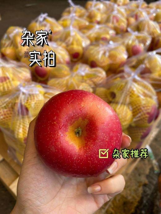 周日取货：【山东红富士】袋装苹果，一袋7.5斤左右，酸甜适口！ 商品图0