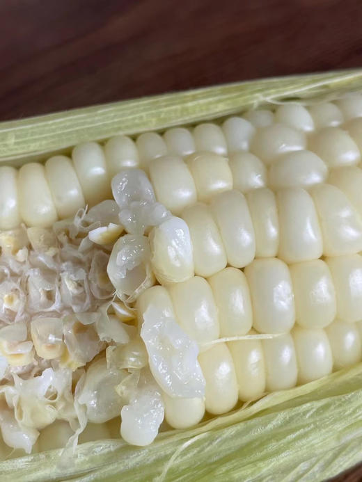 掌柜推荐牛奶糯玉米绿色食品不缺钱的诸暨老伯情怀爱劳动之作天然种植