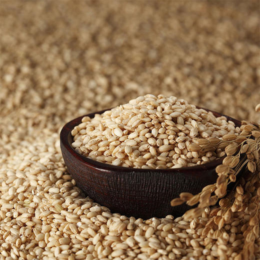 中粮初萃东北糙米1kg 商品图3