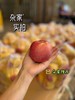 周日取货：【山东红富士】袋装苹果，一袋7.5斤左右，酸甜适口！ 商品缩略图5
