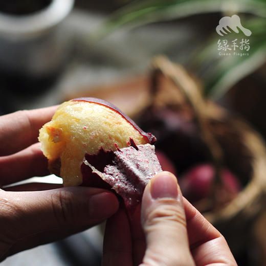 生态红宝石红桃 | 合作生产*Eco-ruby peach | Coproduction 商品图1